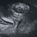 Kopf eines Adlers im Monolithtempel von Malinalco. Skulptierte Adler und Jaguare bildeten die Sitzbänk« für hohe Würdenträger im Inneren dieses aus dem Fels gehauenen Bauwerks. Im Jahre 1501 entstand Malinalco auf Anordnung des Herrschers Ahuizotl. Nachklassische Zeit. Aztekische Kultur. Um 1501.